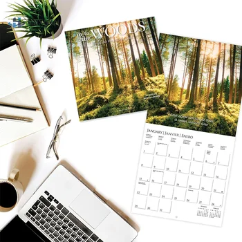 Настенный календарь на 2024 год Into The Woods Плотный бумажный Органайзер для дома и офиса, Календари с месячной сеткой праздников на 2024 год для дома