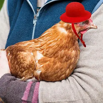 Куриный шлем Маленькая каска для домашних животных Аксессуары для цыплят Регулируемая Шляпа из перьев для кур Петух Утка Домашняя птица Стильный шоу-костюм