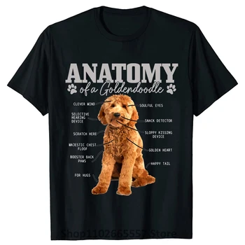 Анатомия Голдендудла, Забавная милая собачка, каракули, Футболки для мамы и папы, хлопковые футболки в стиле хип-хоп с коротким рукавом, подарки на день рождения, футболка